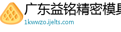 广东益铭精密模具制造有限公司